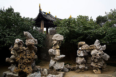 吃瓜51吃的朝阳群众|朝阳群众瓜田大战:网络舆论风向标-2